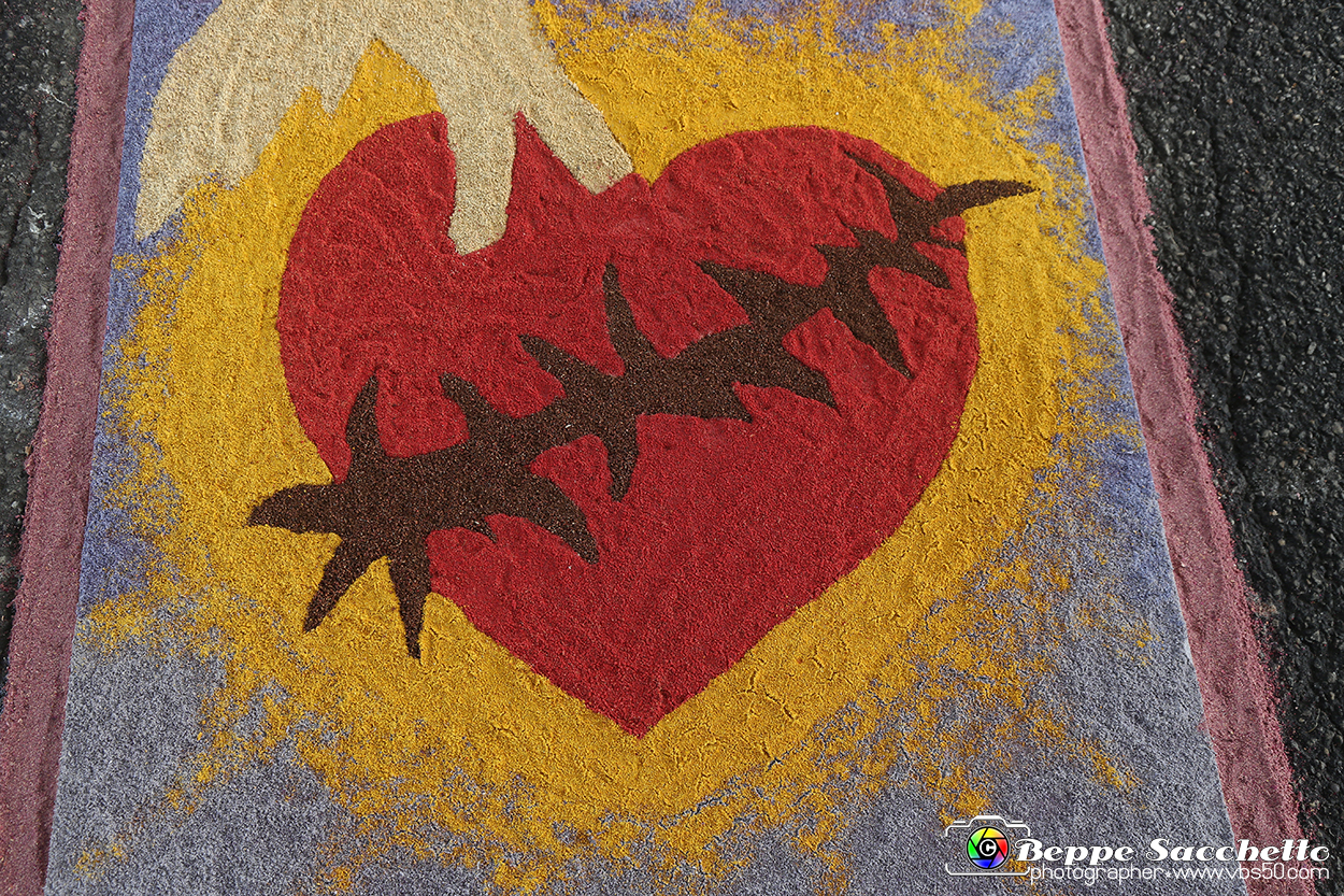 VBS_9601 - Infiorata di Villanova d'Asti 2023.jpg